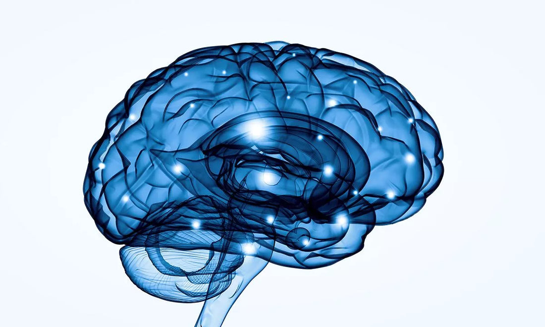 Can The Brain Heal Itself?