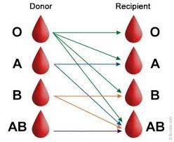 what blood type is the universal donor
