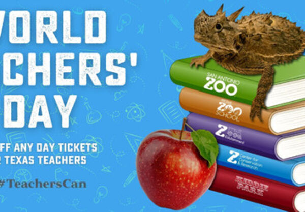 50 percent off for Texas teachers on World Teachers' Day!
